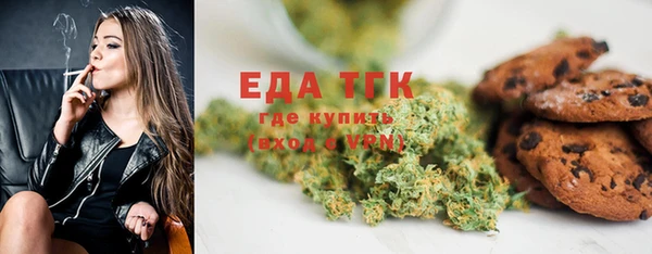 индика Новокубанск