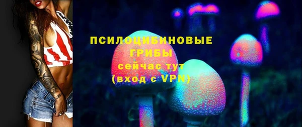 амф Новодвинск
