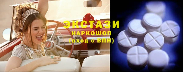 индика Новокубанск