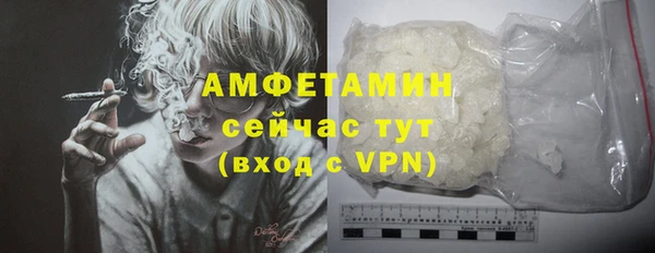 амф Новодвинск