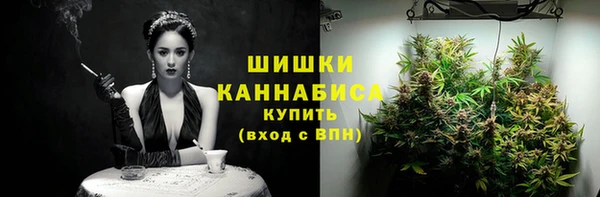 индика Новокубанск