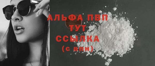 индика Новокубанск
