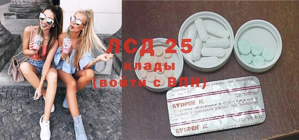 индика Новокубанск