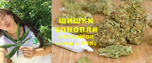 индика Новокубанск