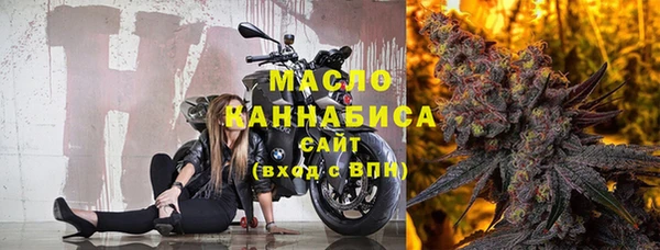 индика Новокубанск