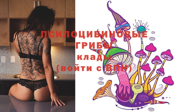 а пвп мука Новозыбков
