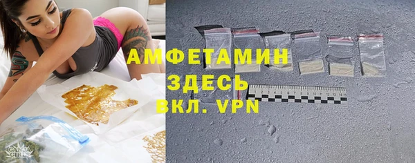 индика Новокубанск
