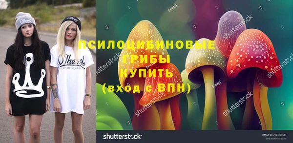 амф Новодвинск