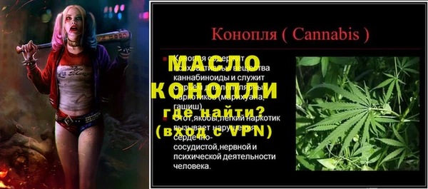 индика Новокубанск