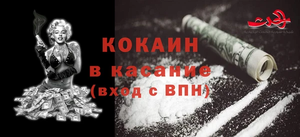индика Новокубанск