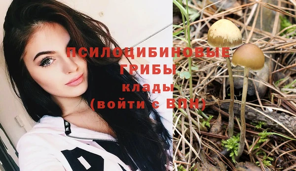 амф Новодвинск